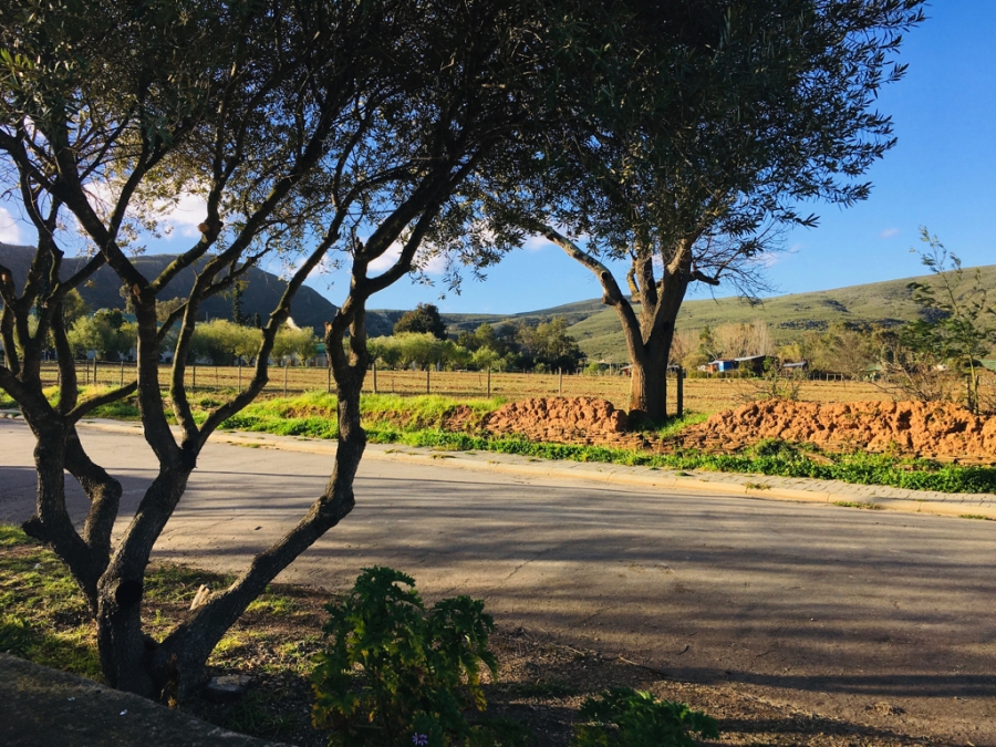 3 Bedroom Property for Sale in Barrydale Western Cape